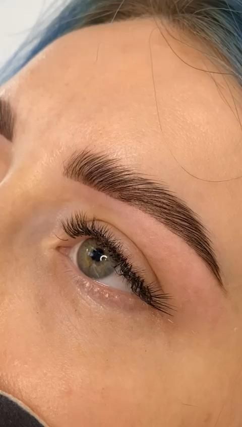 brow lamination+sculpt+henna