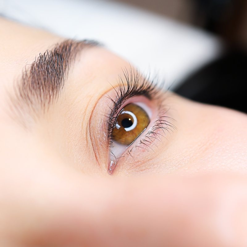 Lash lift and tint finished result